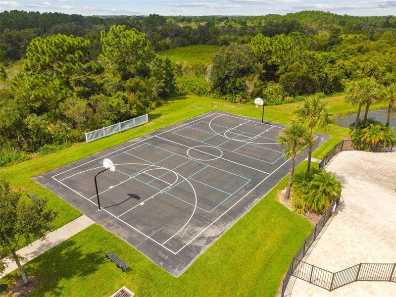 Community amenities in Westgate at Avalon Park, Wesley Chapel (Image 75).