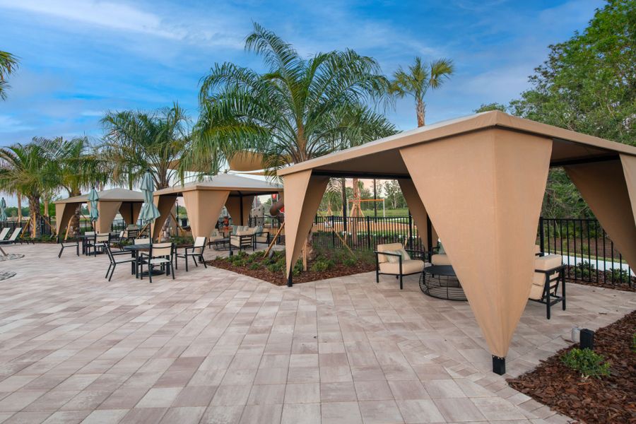 Community amenities in Vida's Way, Wesley Chapel (Image 19).
