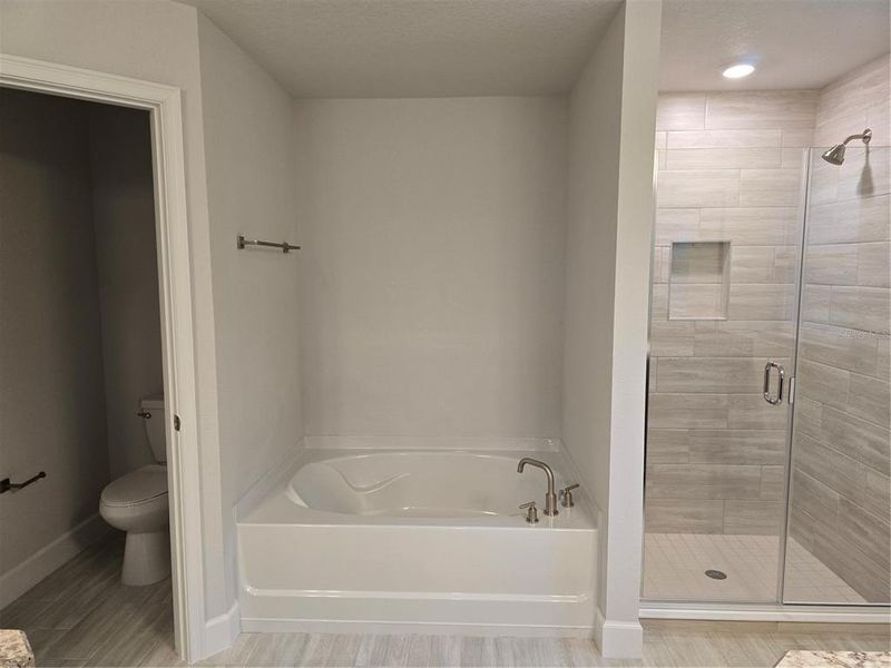 Master Bath Garden Tub, Tile Shower, & Toilet Closet