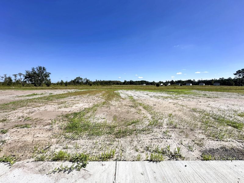 Natural landscape and outdoor views near Tibet Road at Sassafras in Allenhurst (Image 17).