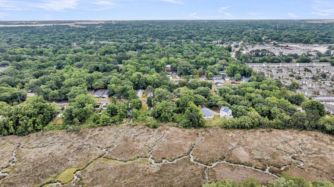 Natural landscape and outdoor views near  in Charleston (Image 38).