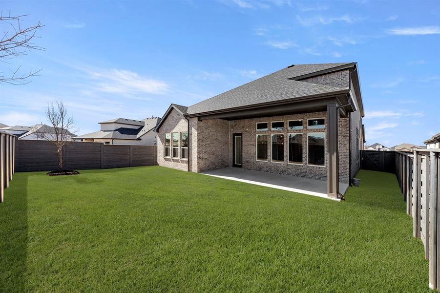 27. 7224 Indian Paintbrush - Back (2)