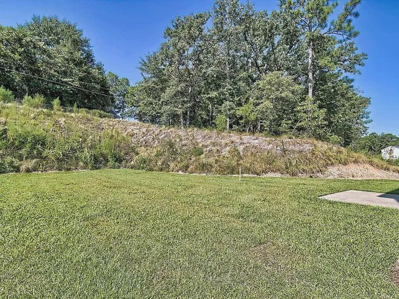 Natural landscape and outdoor views near Emanuel Creek in West Columbia (Image 14). Natural landscape and outdoor views near Emanuel Creek in West Columbia (Image 14).
