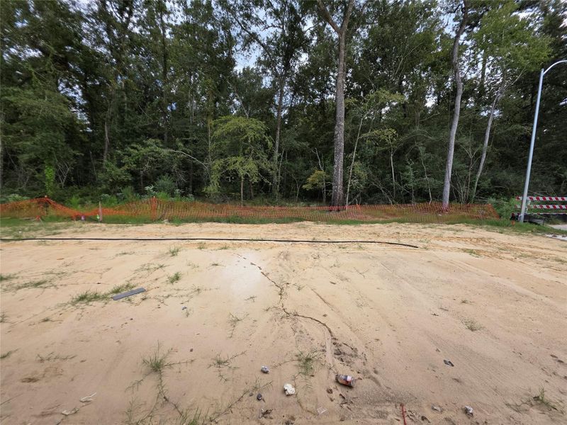 227 Rustic Alder Drive ~ Under Construction 227 Rustic Alder Drive ~ Under Construction