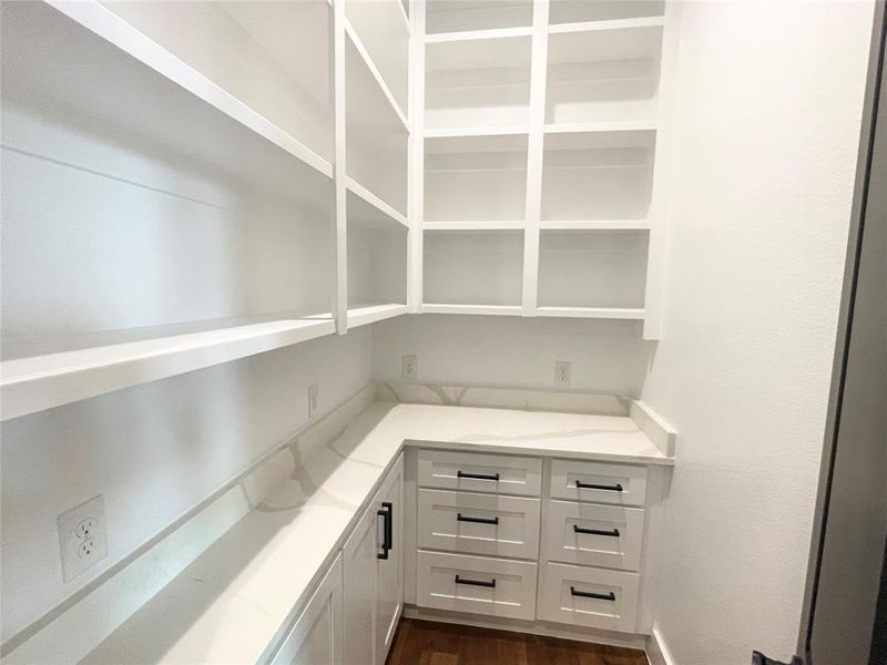 Big walk in pantry off kitchen with built ins