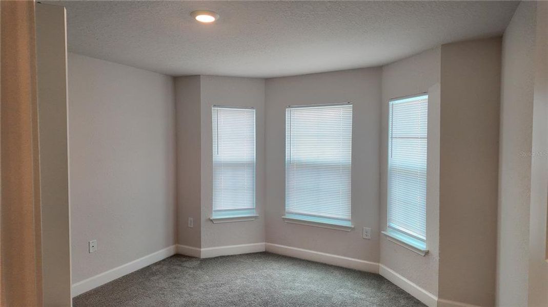 Spacious, unfurnished interior of a new home in Pine Bluff, Spring Hill (Image 35).