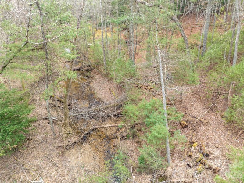 Natural landscape and outdoor views near  in Asheville (Image 17).