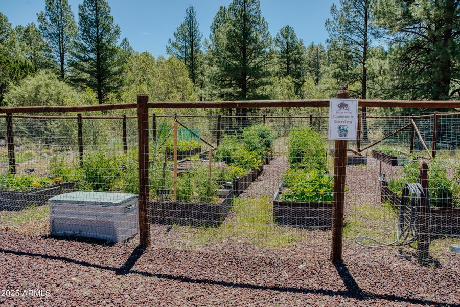 HOA Community Garden