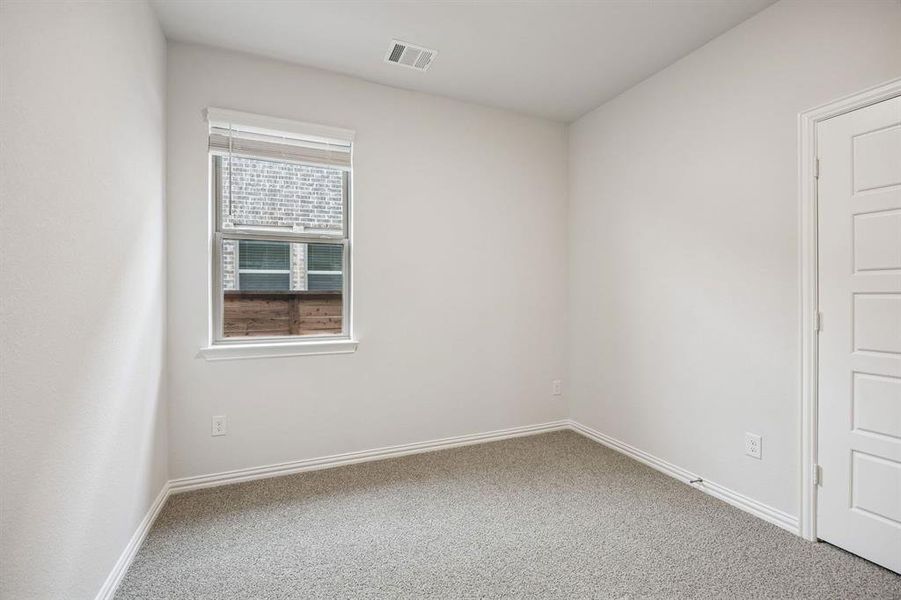 2205 Hazel Lily 2205 Hazel Lily