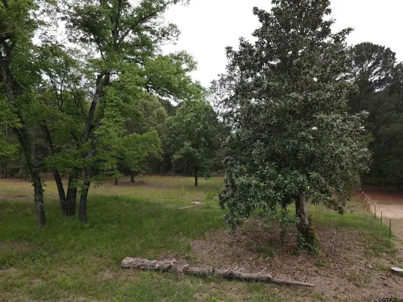 Natural landscape and outdoor views near in Lindale (Image 4). Natural landscape and outdoor views near in Lindale (Image 4).