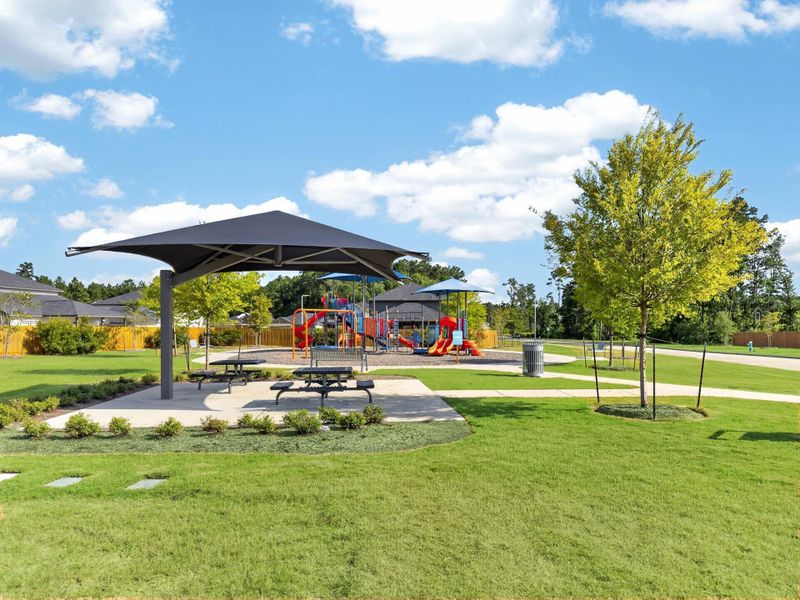Community amenities in Caney Mills, Conroe (Image 23).
