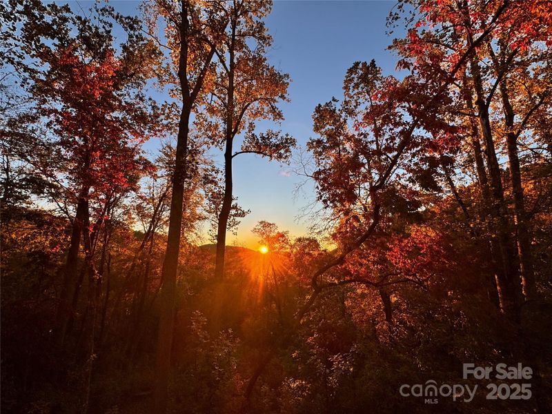 Natural landscape and outdoor views near  in Hendersonville (Image 22).