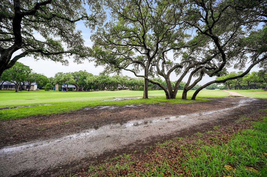 Natural landscape and outdoor views near  in Wimberley (Image 29).
