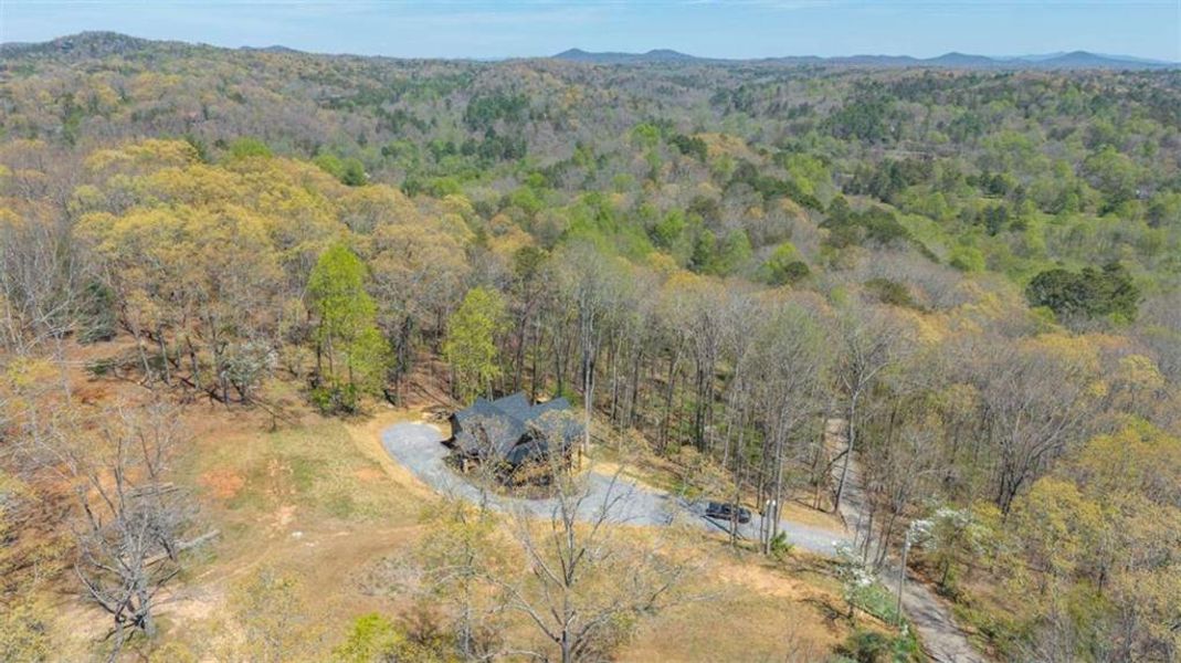 Natural landscape and outdoor views near  in Mineral Bluff (Image 41).