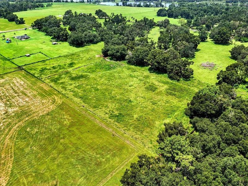 Natural landscape and outdoor views near  in Dade City (Image 21).