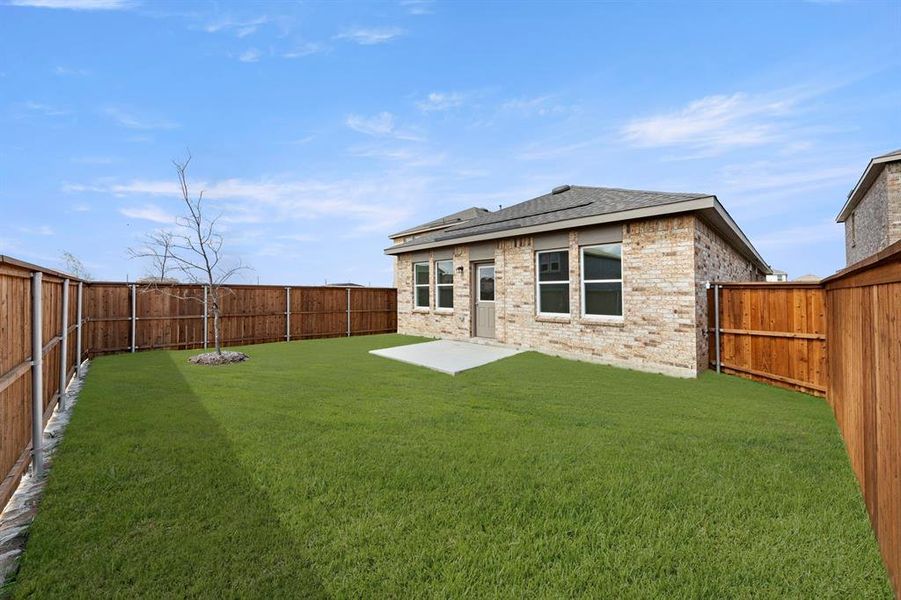 27. 14204 Coness - Back (2)