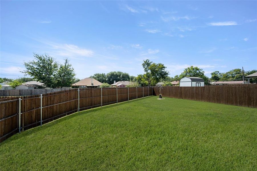 433 Rose- Back-3 433 Rose- Back-3