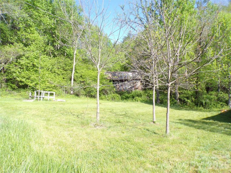 Side yard with the barn in the background