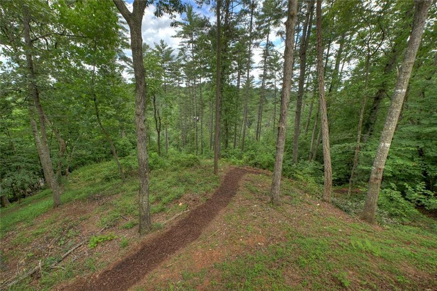 Natural landscape and outdoor views near  in Ellijay (Image 57).
