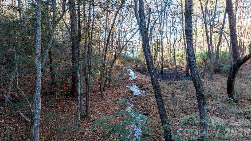 Natural landscape and outdoor views near  in Granite Falls (Image 33).
