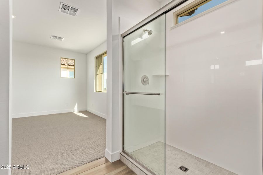 Primary Bathroom View B