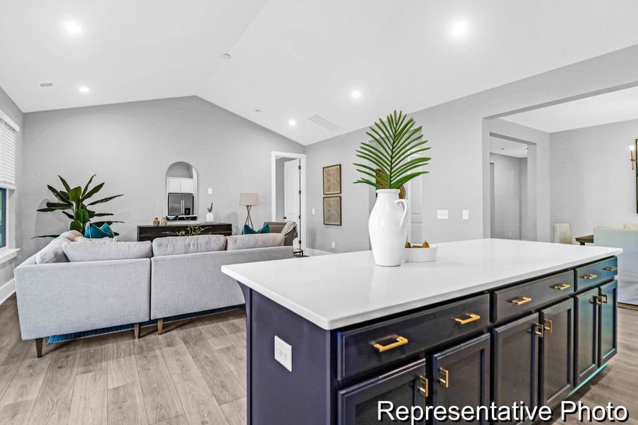 Furnished interior view inside a new home in Homecoming, Ravenel (Image 4).