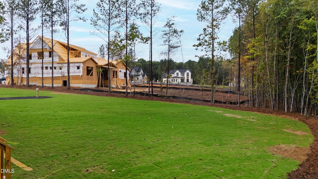 Spanish (10) Spanish (10)