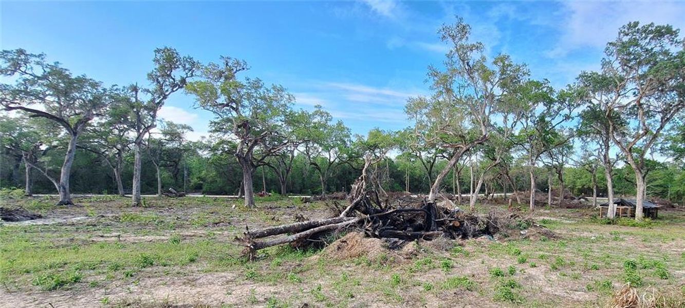 Natural landscape and outdoor views near  in Webster (Image 31).