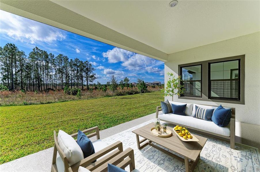 Exterior details and patio area of a home in Two Rivers, Zephyrhills (Image 20).