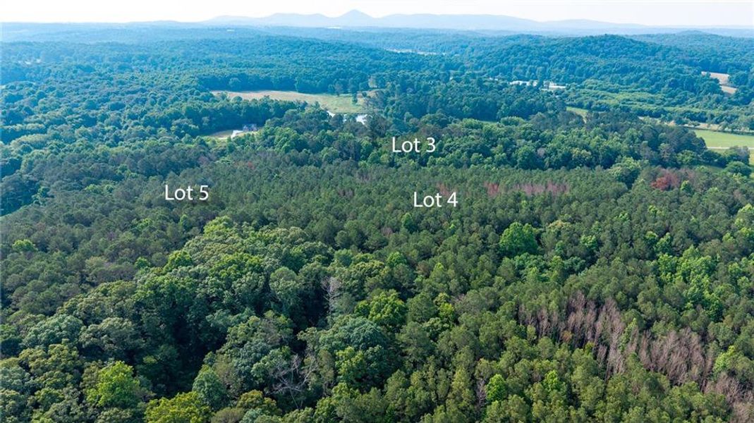 Natural landscape and outdoor views near  in Talking Rock (Image 10).