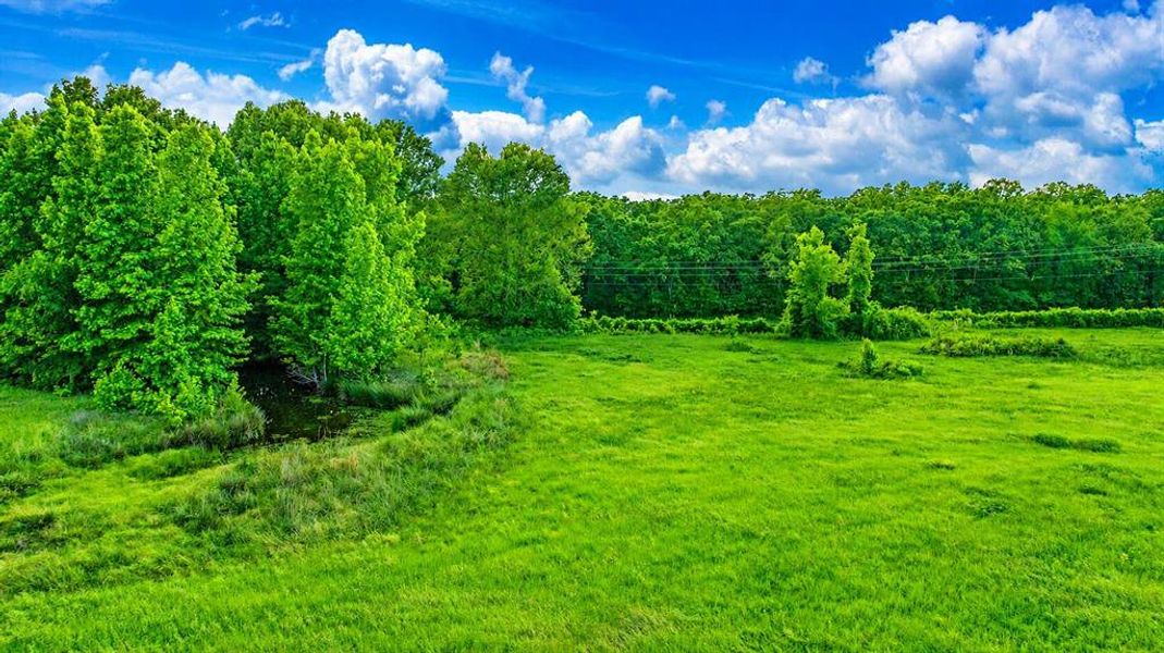 Natural landscape and outdoor views near in Clarksville (Image 27). Natural landscape and outdoor views near in Clarksville (Image 27).