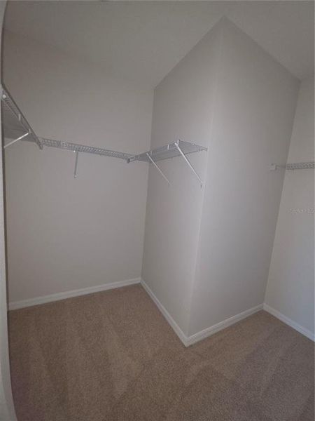 Spacious, unfurnished interior of a new home in , Riverview (Image 21).