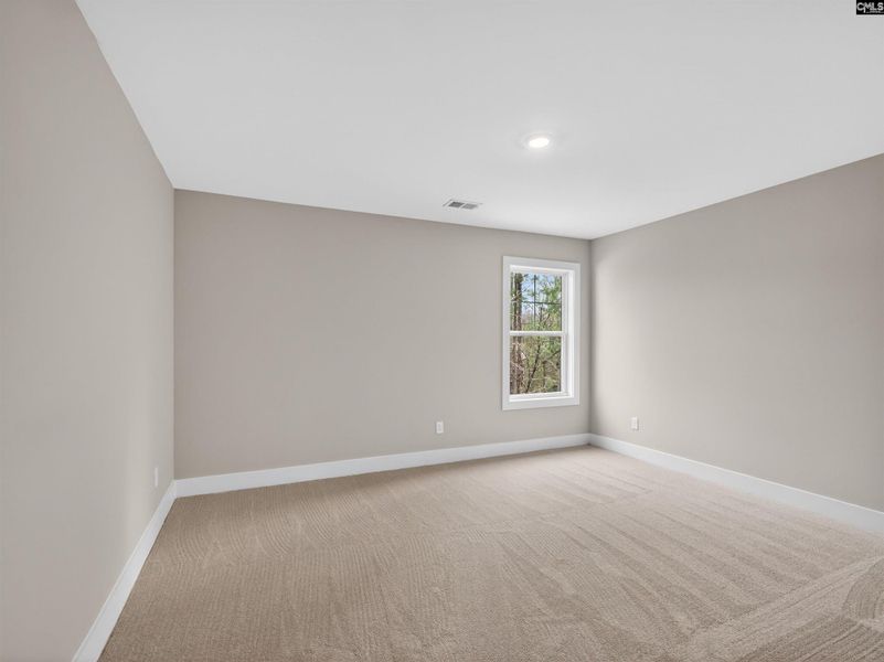 Spacious, unfurnished interior of a new home in Collins Cove, Chapin (Image 37).