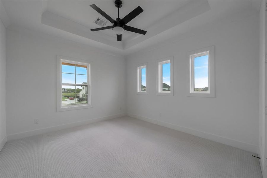 Carpeted spare room featuring a raised ceiling and ceiling fan