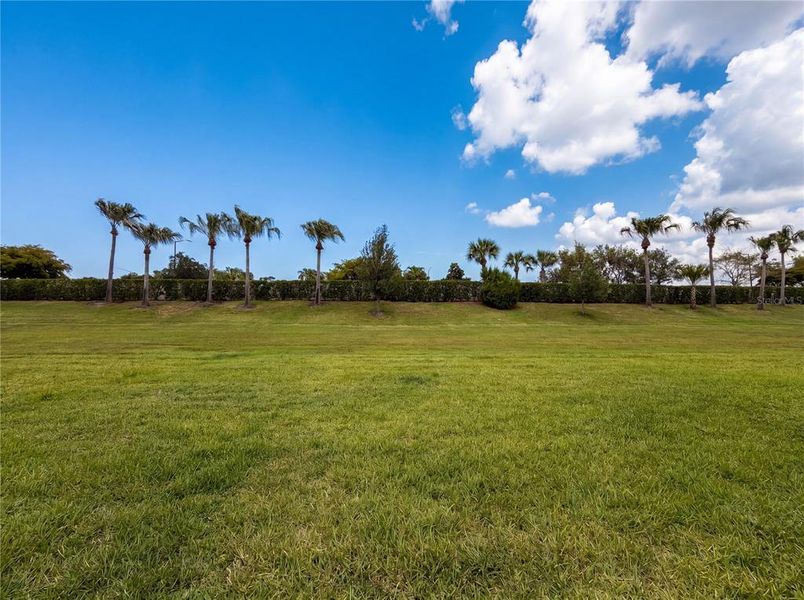 Natural landscape and outdoor views near  in Sarasota (Image 26).