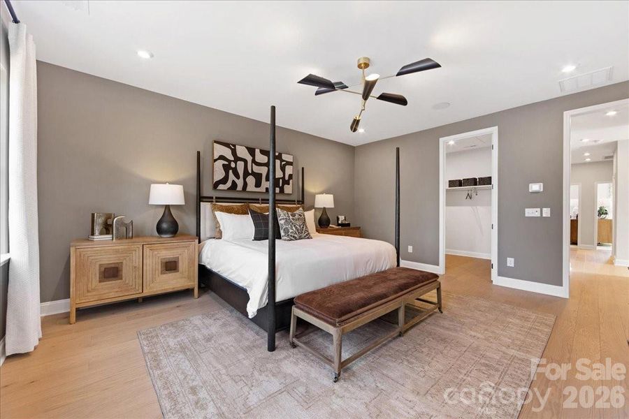 Knight Plan Model Photo Knight Plan Model Photo