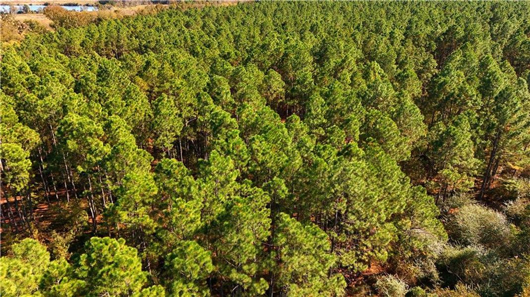 Natural landscape and outdoor views near  in Chester (Image 24).