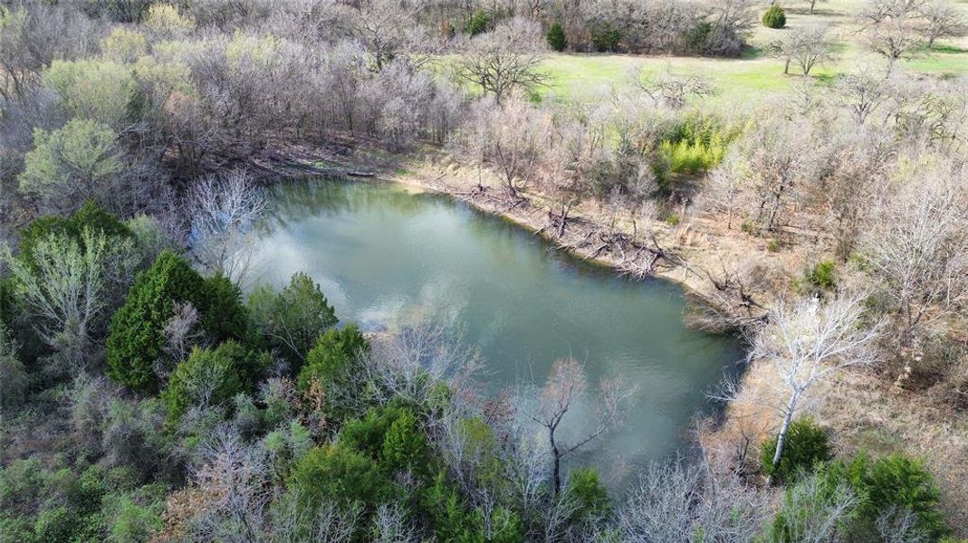 Natural landscape and outdoor views near  in Grandview (Image 24).