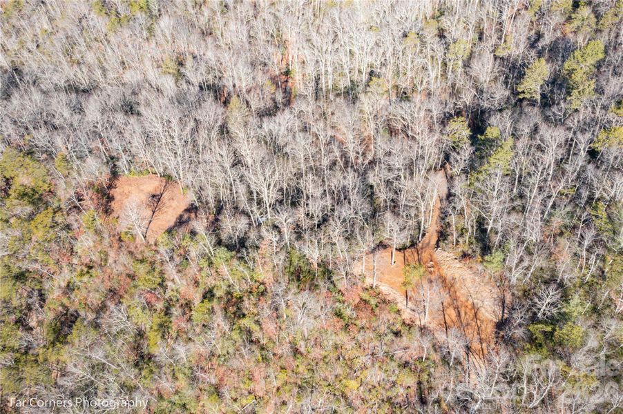 Natural landscape and outdoor views near  in Canton (Image 9).