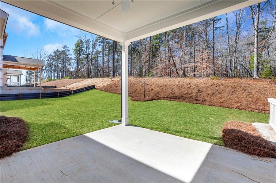 Exterior details and patio area of a home in Cambridge, Flowery Branch (Image 21).