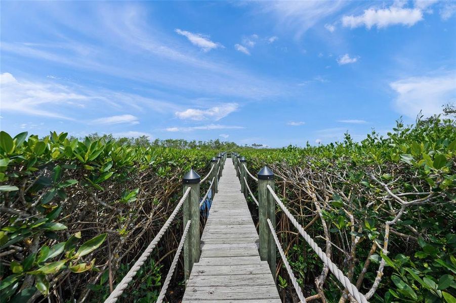Natural landscape and outdoor views near  in Nokomis (Image 62).