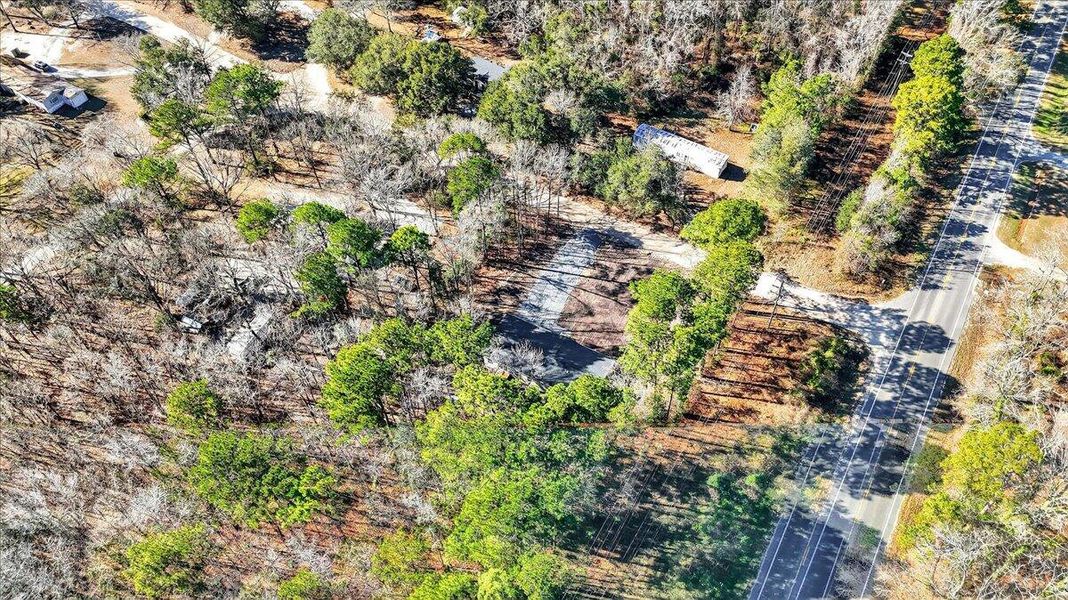 Natural landscape and outdoor views near  in Eutawville (Image 29).