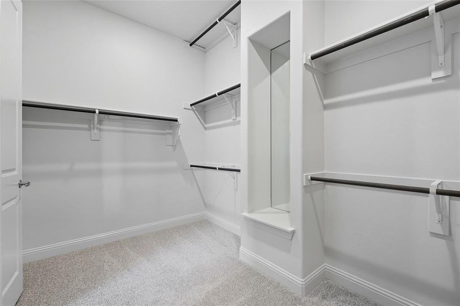 Spacious closet featuring light carpet