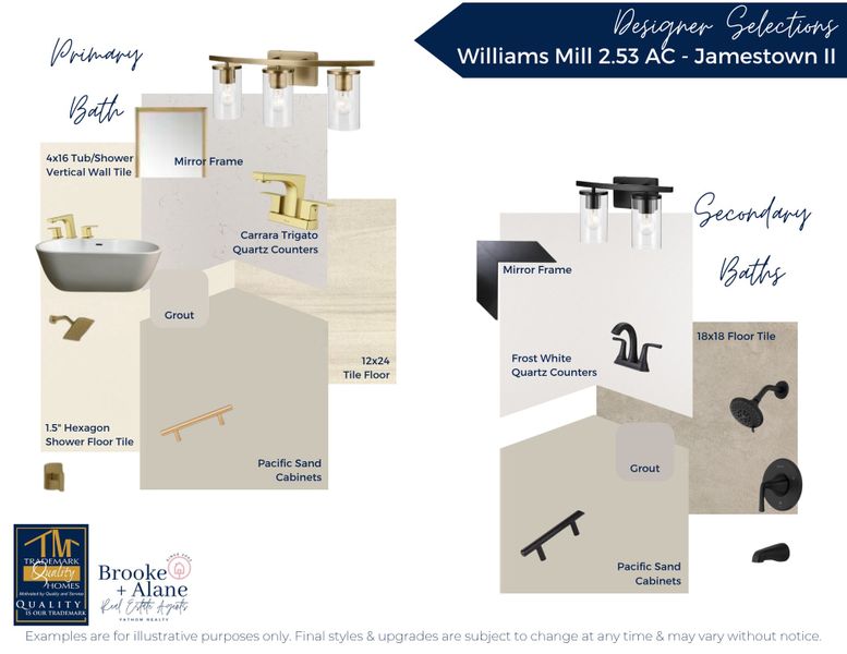 Sample of building materials used in homes in Williams Mill, Zebulon (Image 5).