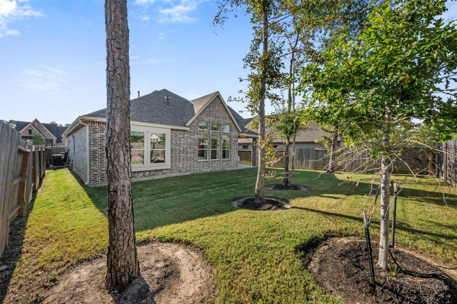Large yard with mature trees Large yard with mature trees