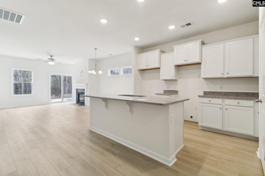 Furnished interior view inside a new home in Boykin Hills, Chapin (Image 6).