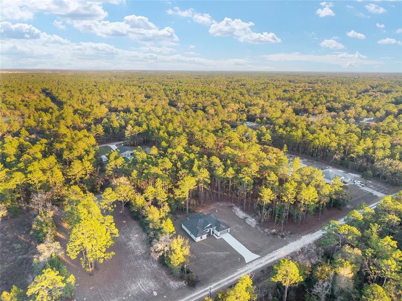Natural landscape and outdoor views near  in Dunnellon (Image 69).