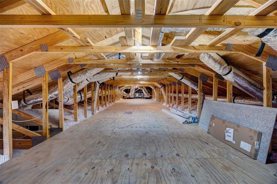 Attic bragging rights for sure Attic bragging rights for sure