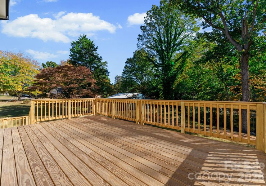 Oversized Back Deck