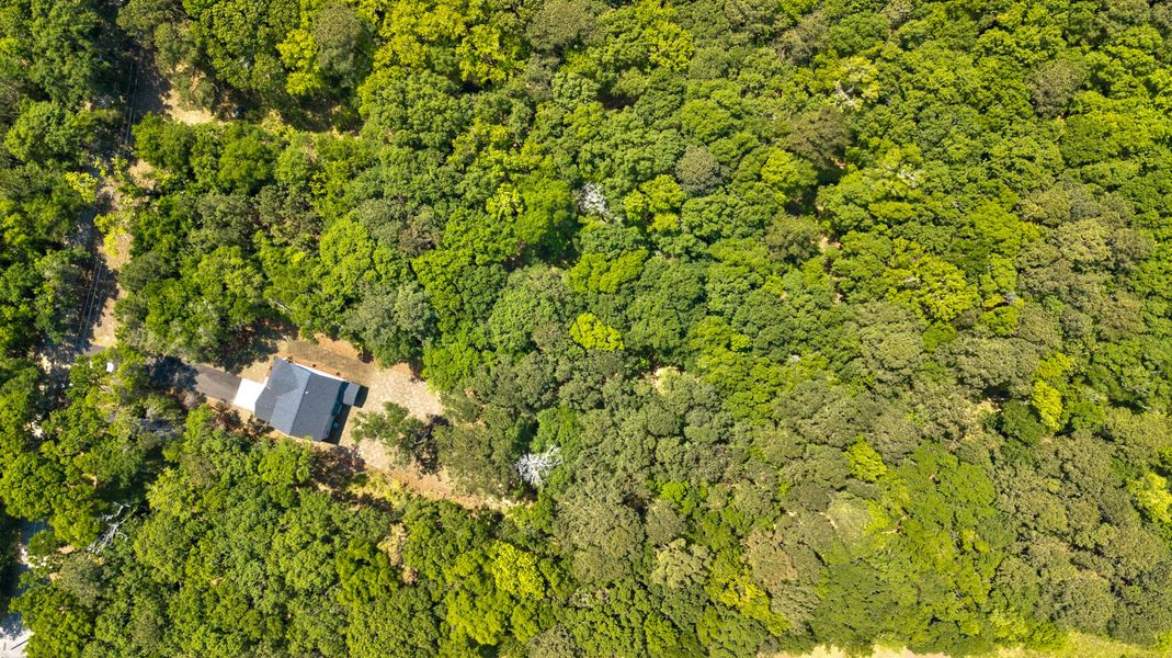 Natural landscape and outdoor views near  in Charleston (Image 46).